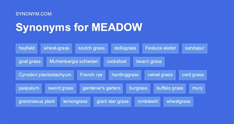 meadow antonym.